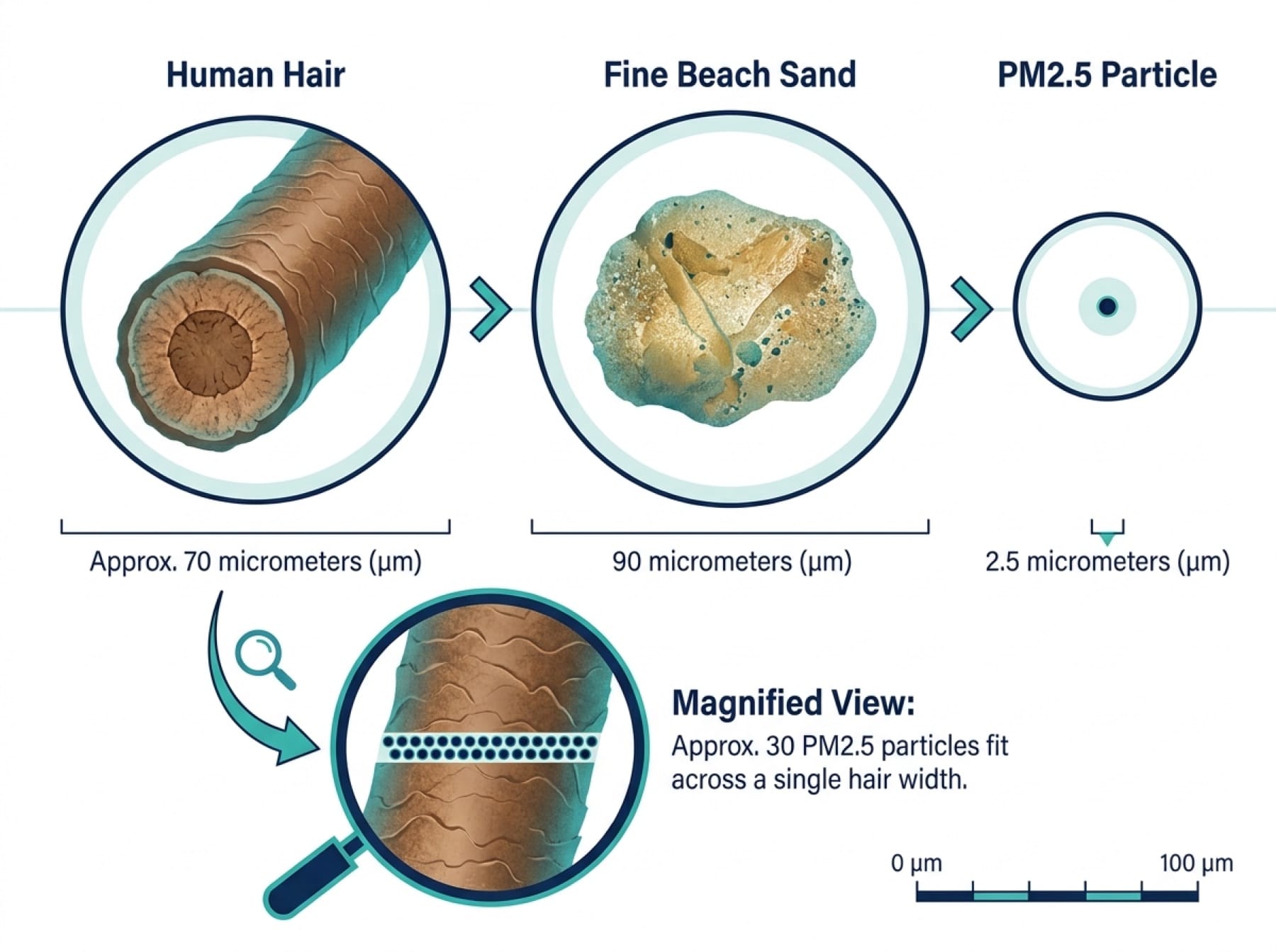 Scale comparison showing a PM2.5 particle beside a human hair strand and sand grain
